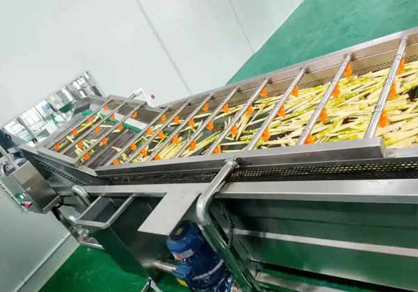 蔬菜清洗机使用的注意事项